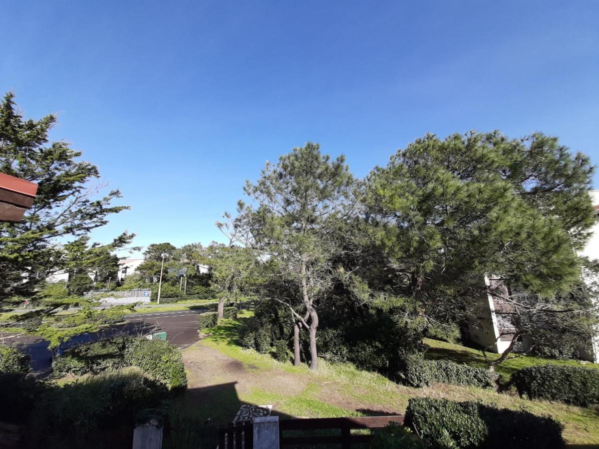 Maison Renovee Avec Terrasse A 700M Des Plages, Marche Et Activites - Tennis Et Piste Cyclable A 10M - Fr-1-239-385 Сеньосс Екстер'єр фото