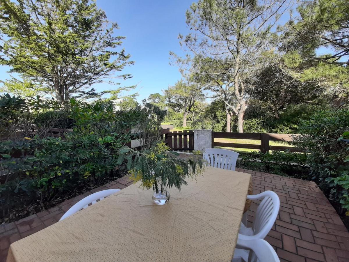 Maison Renovee Avec Terrasse A 700M Des Plages, Marche Et Activites - Tennis Et Piste Cyclable A 10M - Fr-1-239-385 Сеньосс Екстер'єр фото